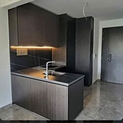 Hyll On Holland (D10), Condominium #573881251